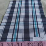 Madras Plaid AT-21-119-SUR