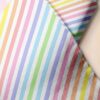 Rainbow stripes novelty print fabric with multi-color stripes for children's clothing, dog bandanas, skirts & dresses.